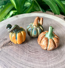 Load image into Gallery viewer, Mini Mystery Pumpkin Patches
