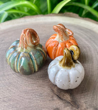 Load image into Gallery viewer, Mini Mystery Pumpkin Patches
